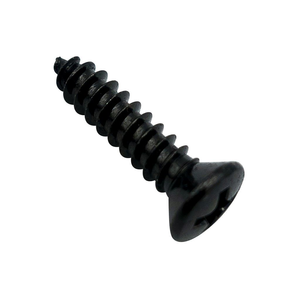 Champion 8G x 3/4in S/Tapping Screw Raised Head PH - 100pk