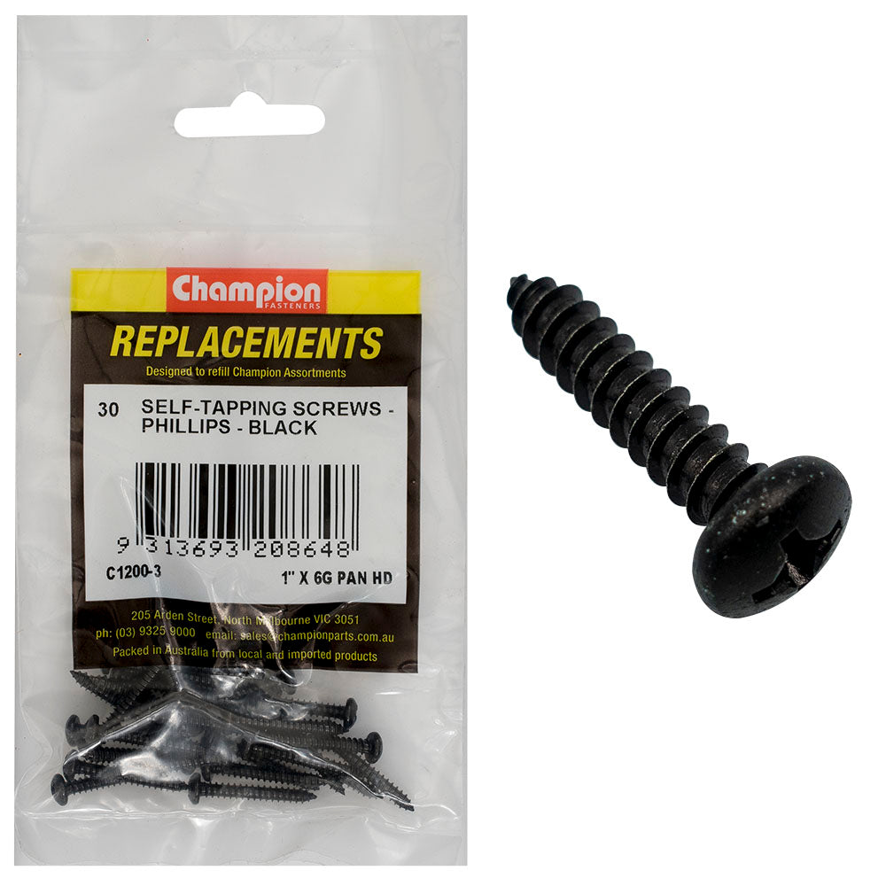 Champion 6G x 1in S/Tapping Screw Pan Head Ph -30pk