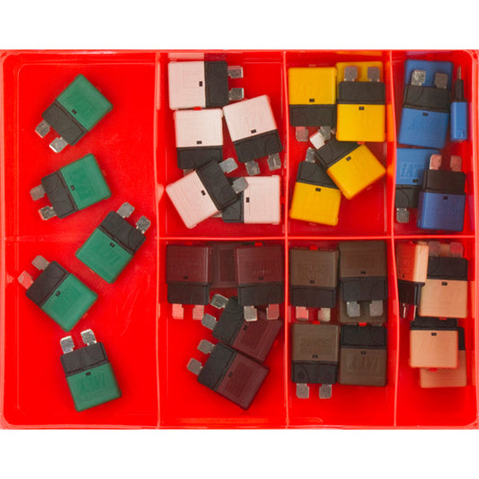 Champion 35pc AF Circuit Breaker Blade Fuse Assortment