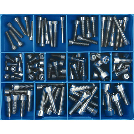 Champion 91pc Imperial Cap Screw Assortment 316/A4