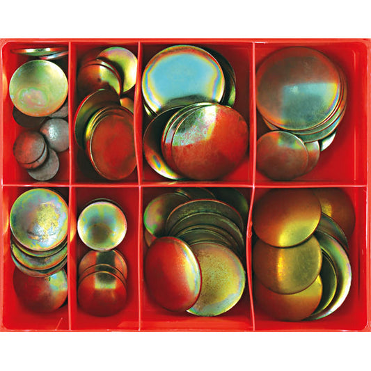 Champion 100pc Lens Type Steel Exp Plug Assortment**